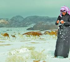 الثلج يفترش رمال الصحراء في السعودية 