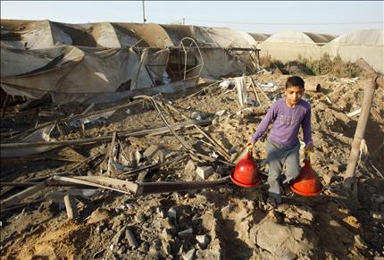 فتى فلسطيني فوق ركام مزرعة الدواجن التي قصفها الاحتلال في رفح في قطاع غزة فجر أمس (رويترز) 