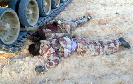 جثث لمسلحين من «ولاية سيناء» عرضها الجيش المصري (أ ف ب)