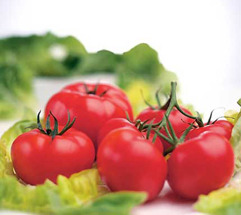 قشور الطماطم الناضجة غنية بالمواد المضادة للأكسدة