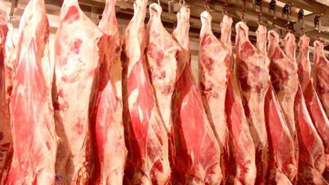  ارتفاع أسعار اللحوم .. رئيس جمعية اللحامين- هذا هو الحل الوحيد لتخفيض سعرها