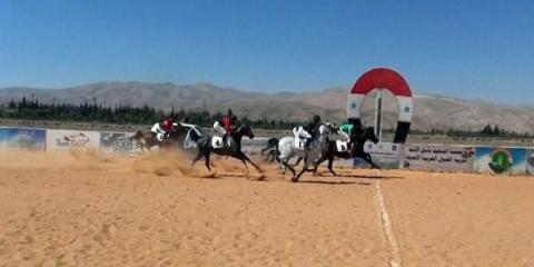 السورية للخيول العربية الأصيلة تختتم موسمها الرياضي بسباق السرعة