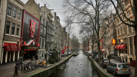  الهوى” أحد الأسباب .. هولندا تنوي تغيير اسمها