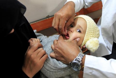  الوفيات «إنفلونزا الخنازير» يضرب اليمن