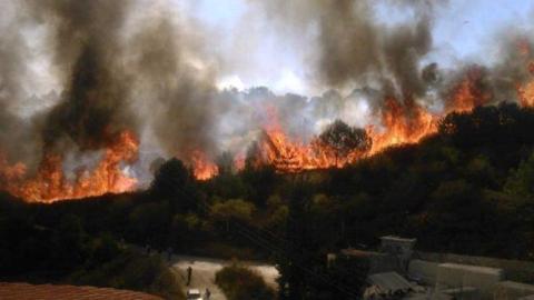  حريق شب في أراض زراعية وحراجية بريف اللاذقية