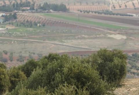  دولية تؤكد أن الاحتلال التركي قطع أكثر من 450 ألف شجرة في عفرين