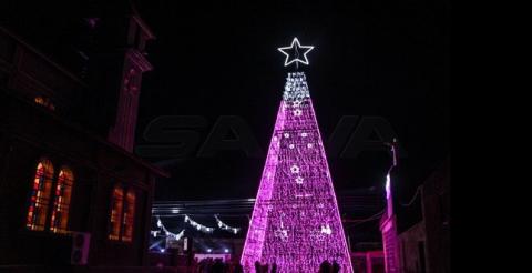  مصباح  لإضاءة -شجرة وطن- في بلدة بصير بريف درعا
