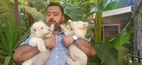  “قطط كبيرة” يقدم مشروعاً لحديقة حيوانات بدمشق بـكلفة 4 مليارات ليرة