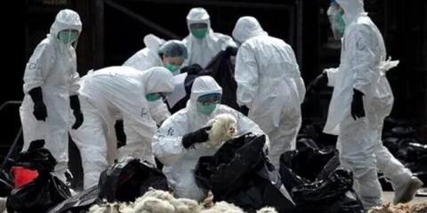 1287 إصابة مؤكدة بفيروس كورونا في الصين ووفاة 41 شخصاً
