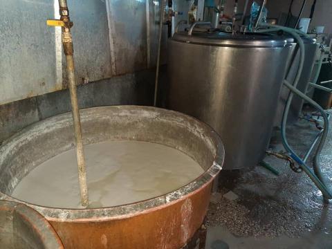  معمل يستخدم مواد مضرة بالصحة في صناعة الألبان والأجبان بمدينة اللاذقية
