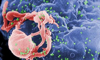 يحمل فيروس الإيدز الجينات الوراثية لناقله
