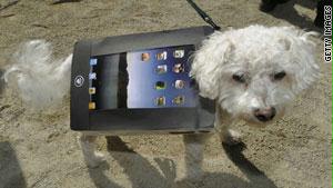 كلب يحمل كمبيوتر.. مشهد كان مستحيلاً قبل ظهور آي باد