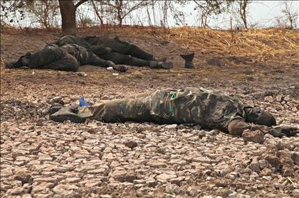 قتلى من الجيش السوداني عند الخطوط الامامية على الطريق إلى هجليج، أمس الأول (أ ب) 