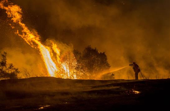 رجل إطفاء يعمل على إخماد الحرائق قرب الطريق السريع الرقم 20 في كاليفورنيا، أمس الأول (أ ف ب)