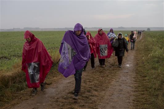 لاجئون يعبرون حقلاً بعد دخولهم إلى كرواتيا (رويترز)