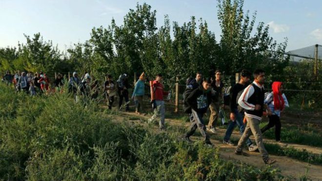 أول حالة ترحيل قسري للاجئين سوريين في اليونان
