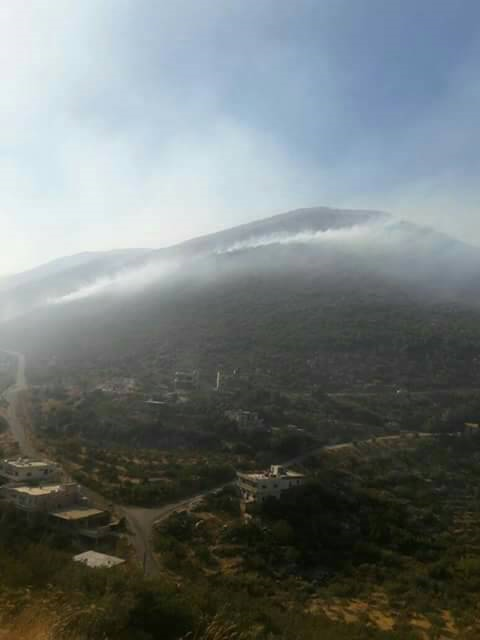 فرق الإطفاء تخمد حريقا بمنطقة مصياف أتى على 100 هكتار حراجي