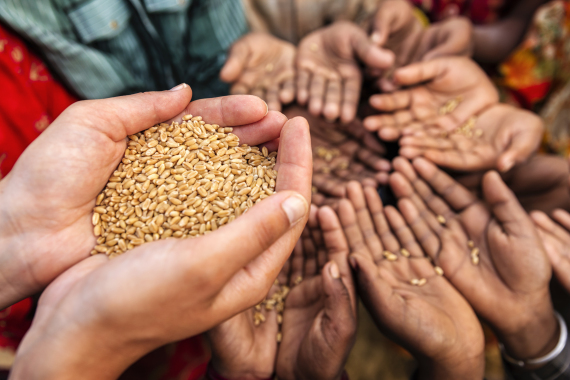 دراسة جديدة: نقص الغذاء ليس السبب وراء المجاعات بالعالم
