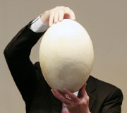أثناء عرض البيضة للصحافيين في «معرض تشلسي».