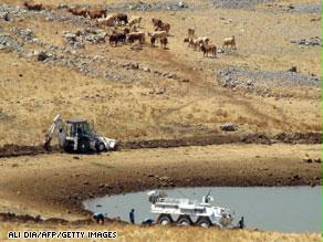 الأبقار الإسرائيلية ''تراقب'' عمليات البنا