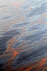 صورة من الجو تظهر تمدد البقعة النفطية التي تقترب من سواحل لويزيانا