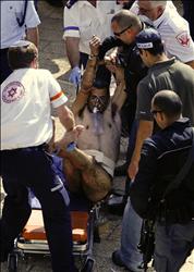 عناصر شرطة ومسعفون اسرائيليون ينقلون منفذ عملية القدس مقيد اليدين بعد إصابته أمس