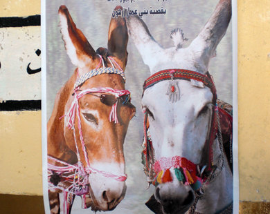ملصق مهرجان بالمغرب يدافع عن الحمار
