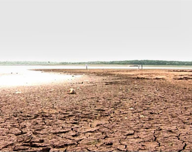 موجة الحر الشديد ساهمت في انتشار الجفاف