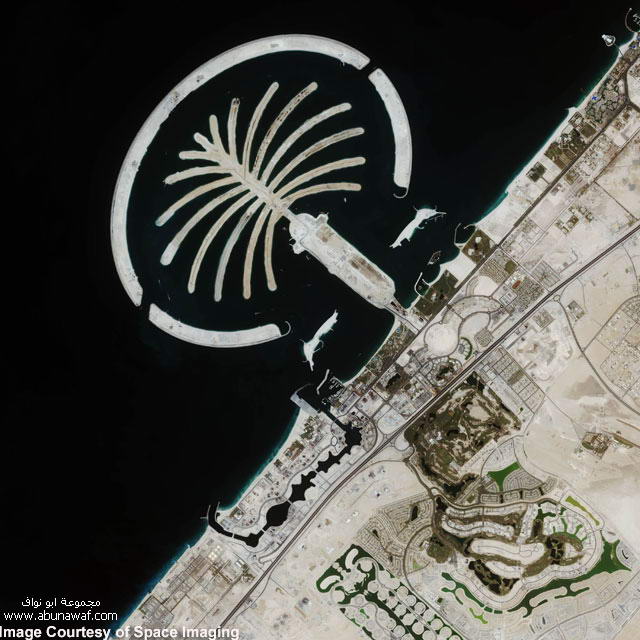 مشروع جزيرة النخلة في دبي